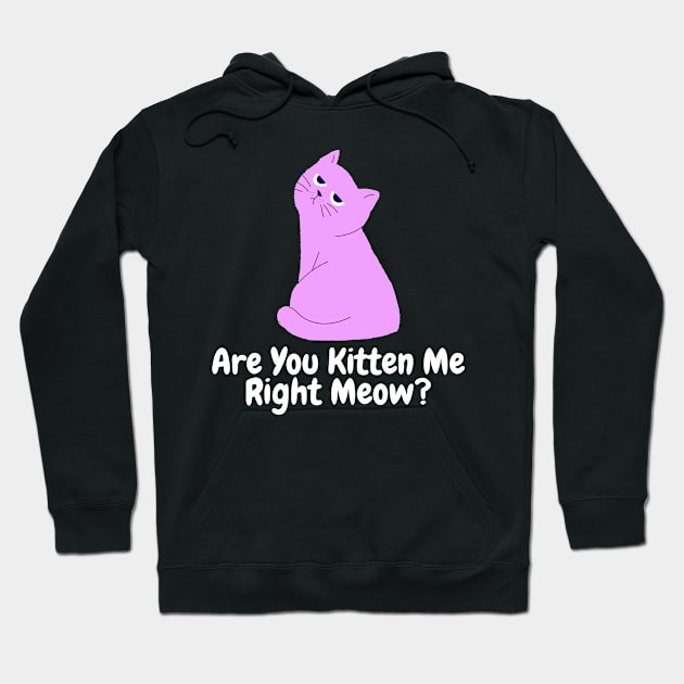 Are You Kitten Me Right Meow Angry Cat Hoodie by PorcupineTees